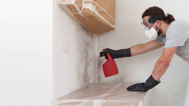 Professional Mold Removal technician working in Leck Kill, PA